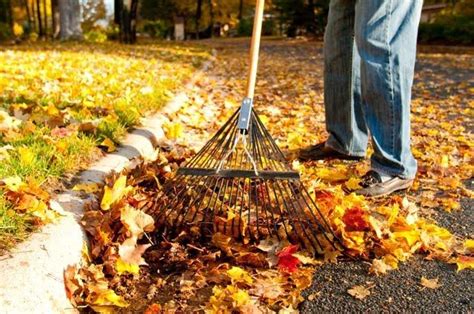 Breaking the Cycle: How Sweeping Away the Leaves Breaks the Spell